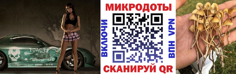 Псилоцибиновые грибы мухоморы Пятигорск