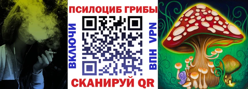 купить   Пятигорск  Галлюциногенные грибы Psilocybine cubensis 